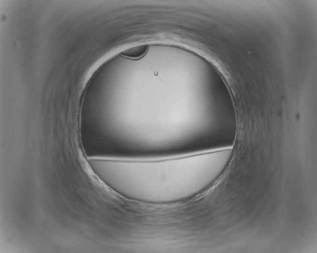 X0000085011534200703050948