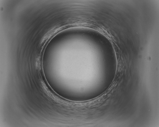 X0000085010002200703051259