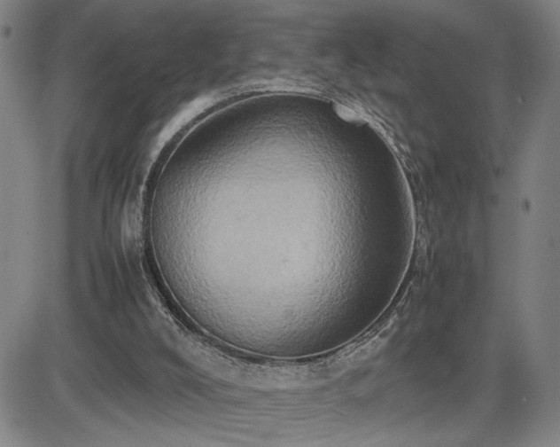 X0000085010008200703051259