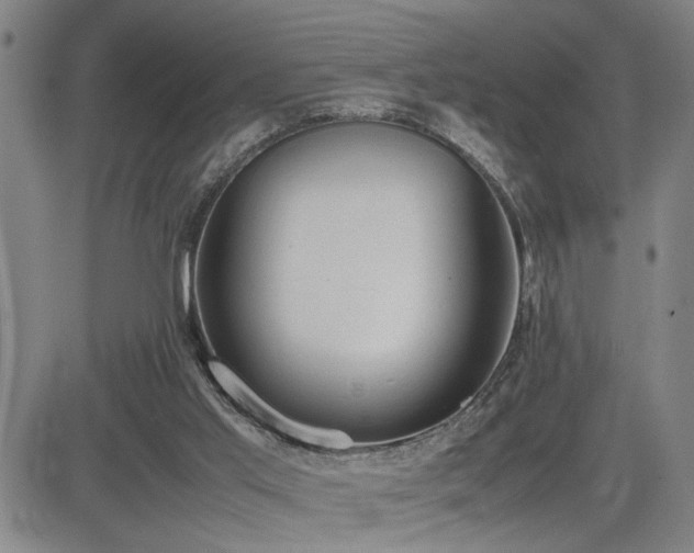 X0000085010013200703051259