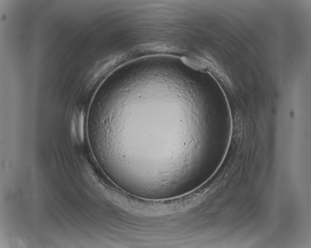 X0000085010014200703051259