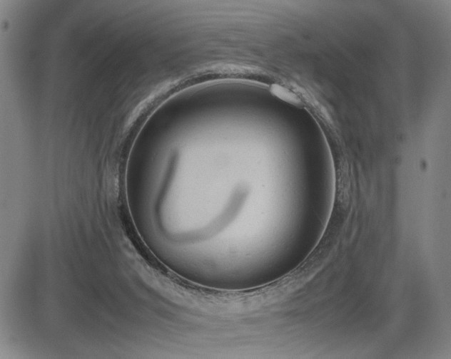 X0000085010015200703051259