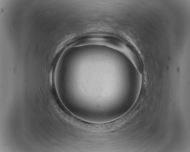 X0000085010019200703051259