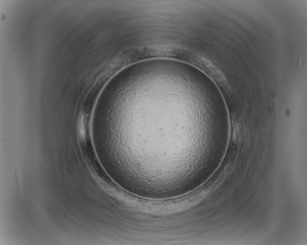 X0000085010026200703051259