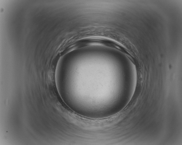 X0000085010035200703051258