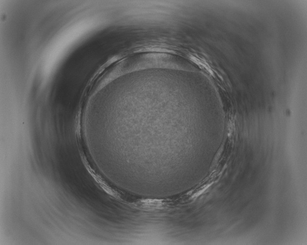 X0000085010052200703051257