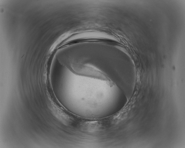 X0000085010054200703051257