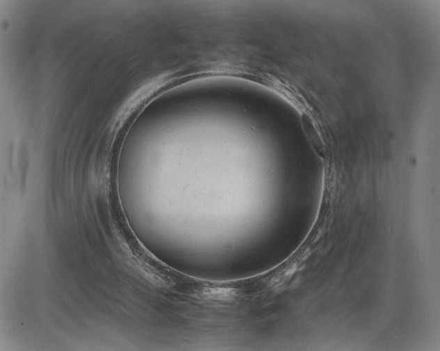 X0000085010055200703051257