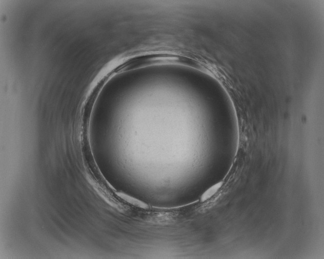 X0000085010056200703051257