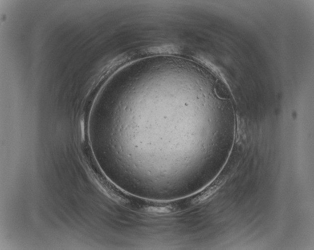 X0000085010061200703051258