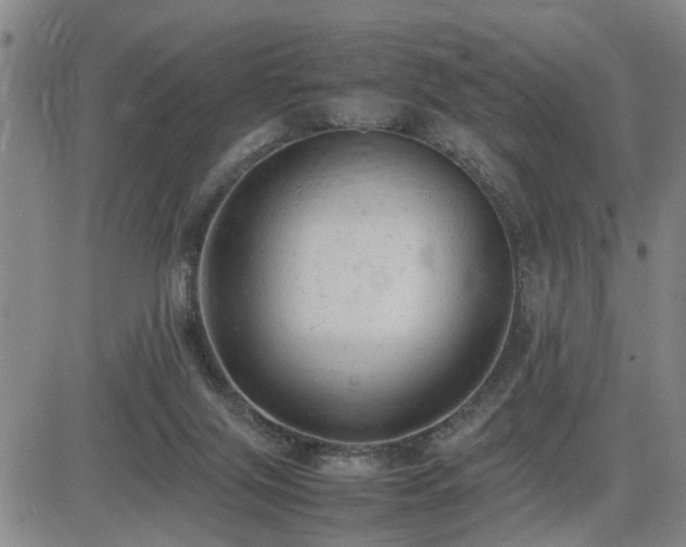 X0000085010071200703051258