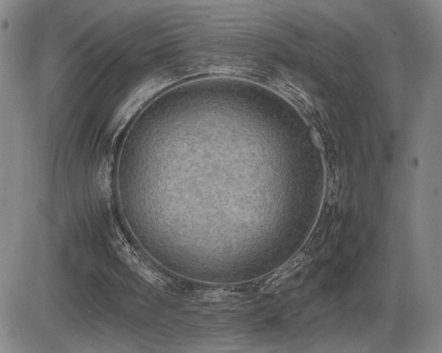 X0000085010098200703051257