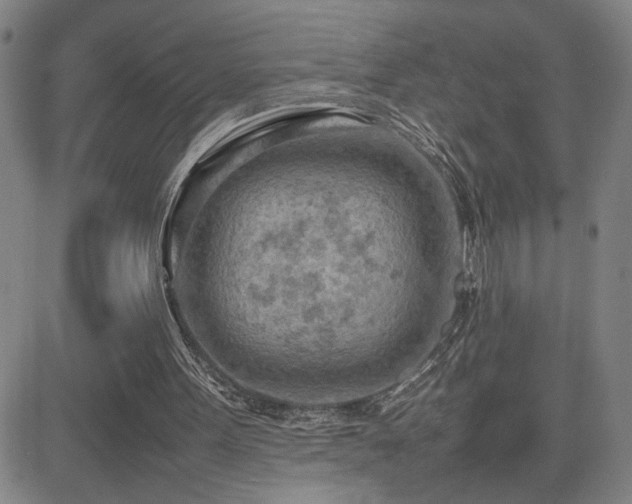 X0000085010099200703051257