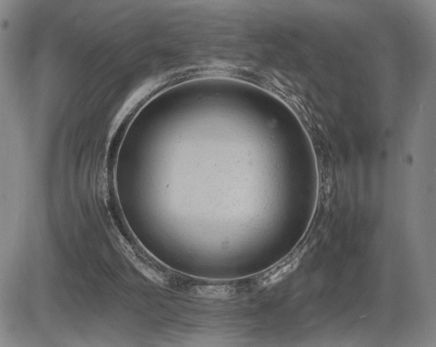 X0000085010102200703051257