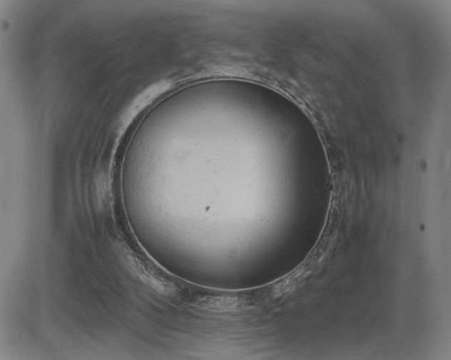 X0000085010104200703051257