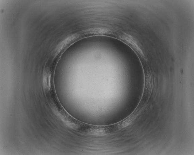 X0000085010110200703051257