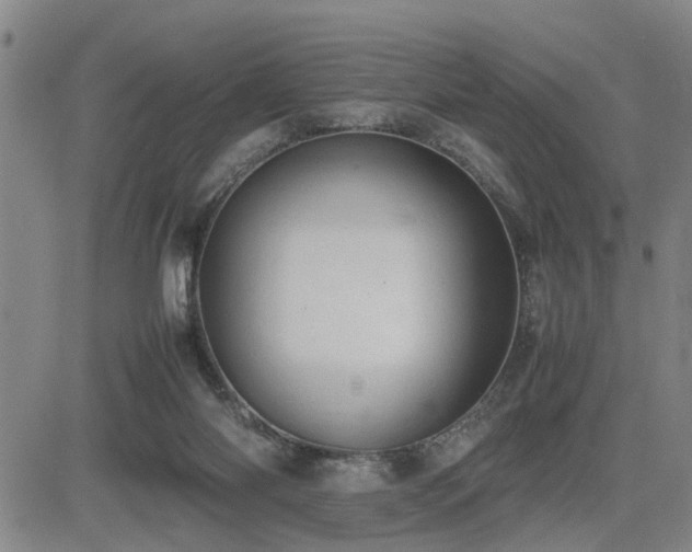 X0000085010118200703051257