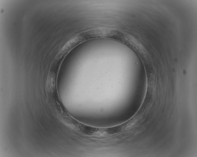 X0000085010119200703051257