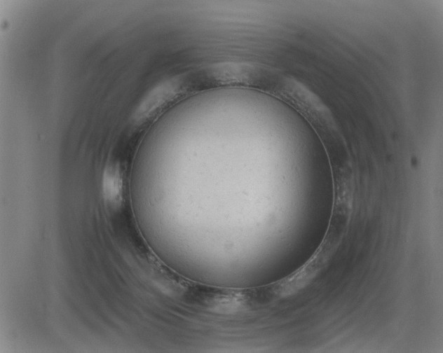 X0000085010124200703051257