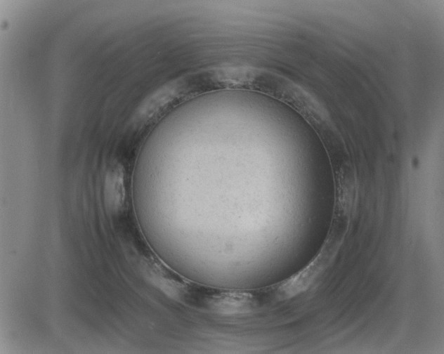 X0000085010128200703051257