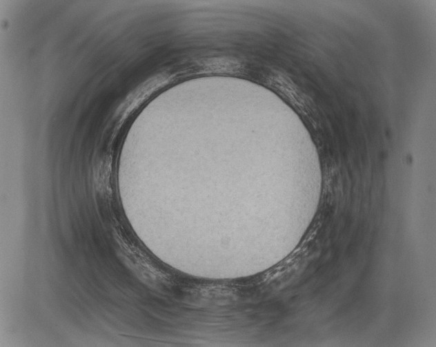 X0000085010146200703051256