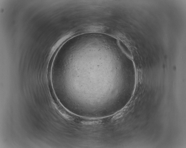 X0000085010147200703051256