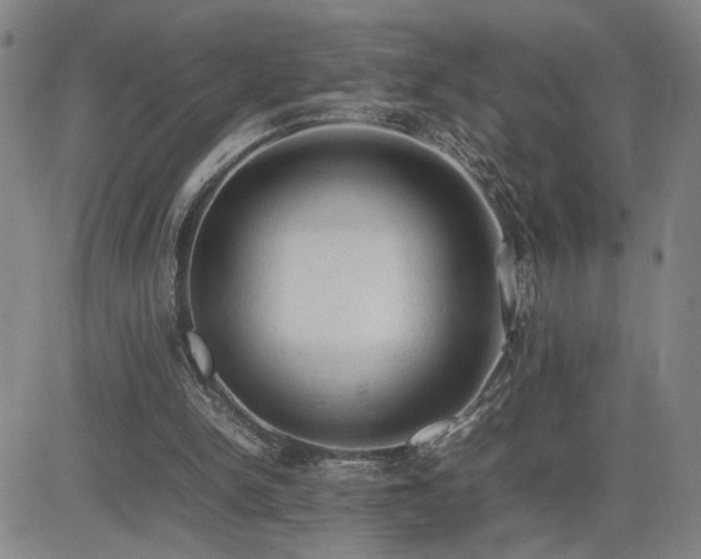 X0000085010150200703051256