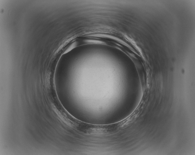 X0000085010154200703051256