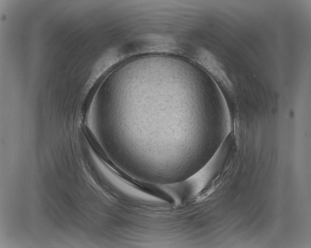 X0000085010156200703051256