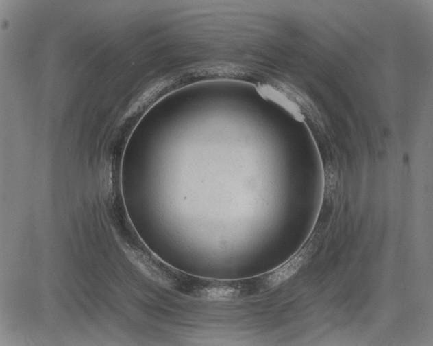X0000085010158200703051256
