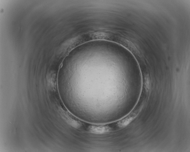 X0000085010181200703051256