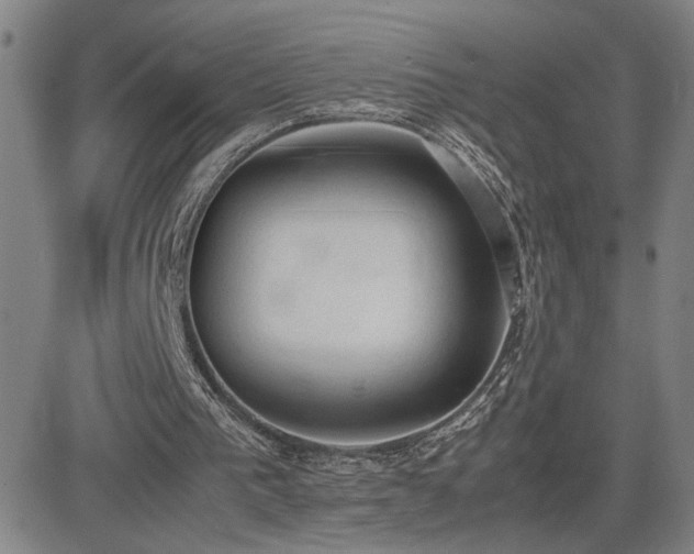 X0000085010193200703051256
