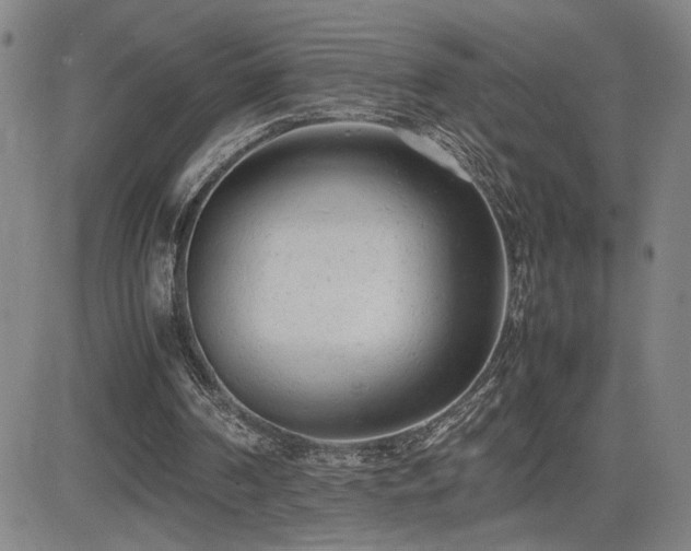 X0000085010194200703051256