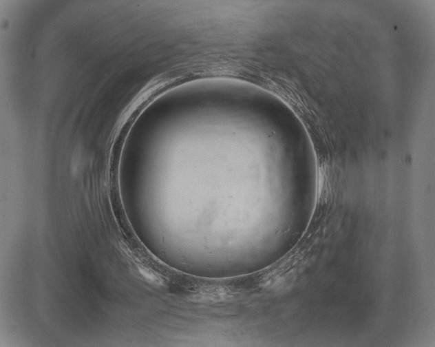 X0000085010195200703051256