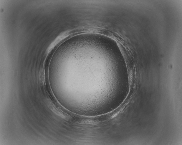 X0000085010198200703051256