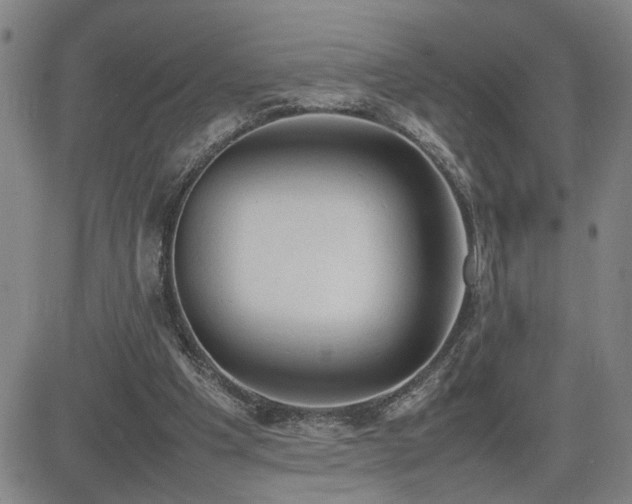 X0000085010201200703051256