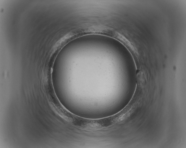 X0000085010203200703051256