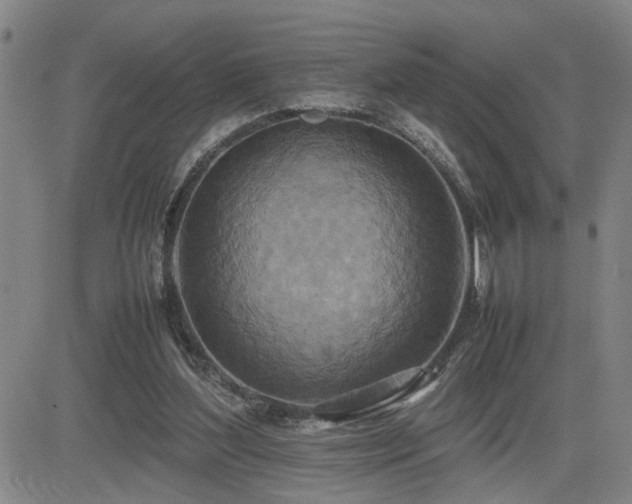 X0000085010204200703051256