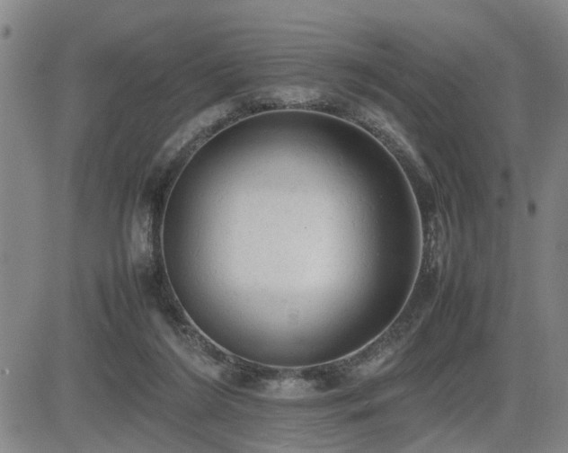 X0000085010212200703051255