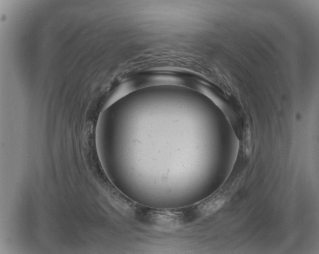 X0000085010229200703051255