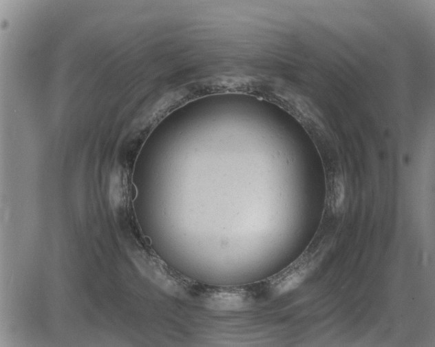X0000085010236200703051255