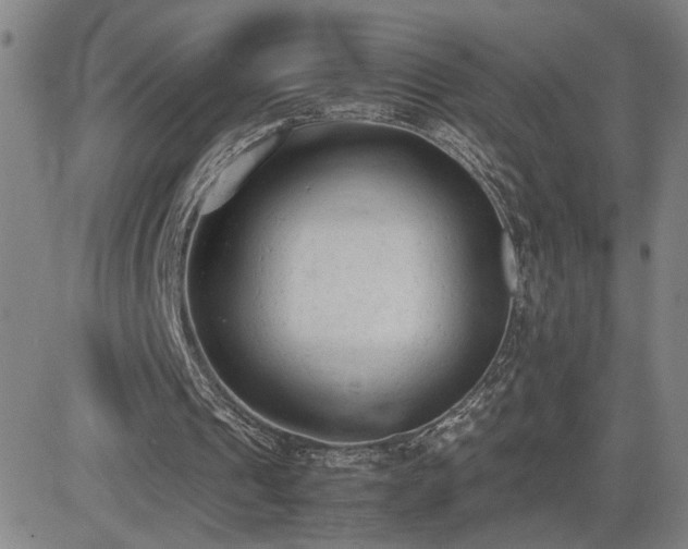 X0000085010241200703051254