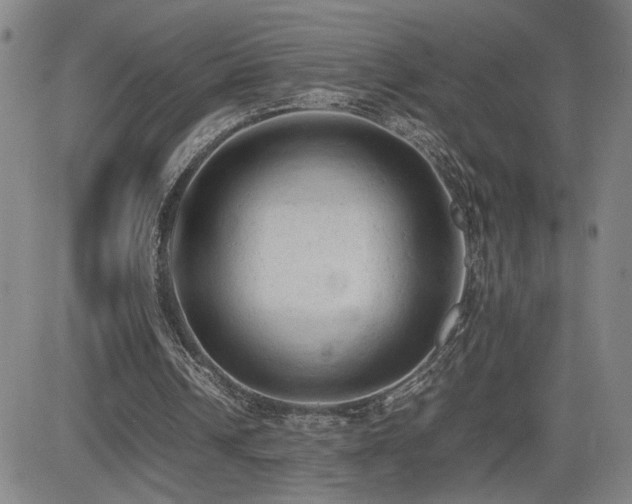 X0000085010242200703051254