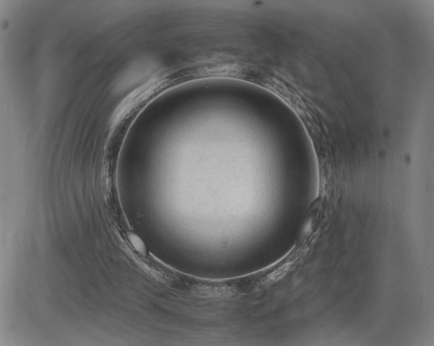 X0000085010245200703051254