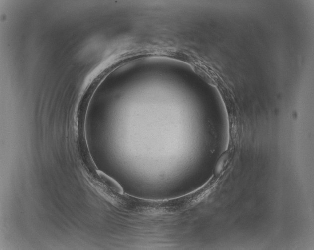 X0000085010246200703051254