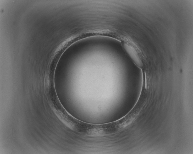X0000085010252200703051254