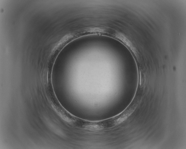 X0000085010253200703051254