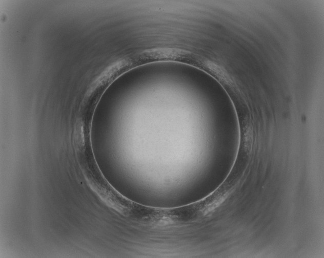 X0000085010254200703051254