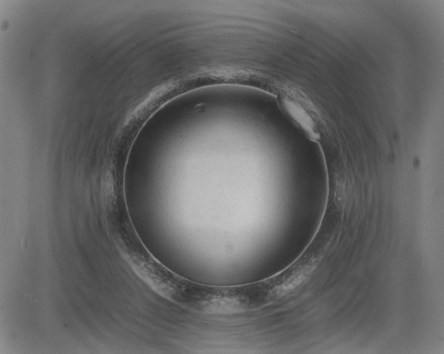 X0000085010256200703051254