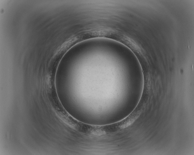 X0000085010258200703051254